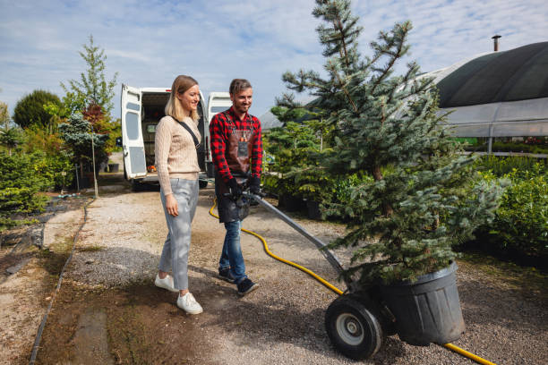 Best Residential Tree Removal  in Bodfish, CA